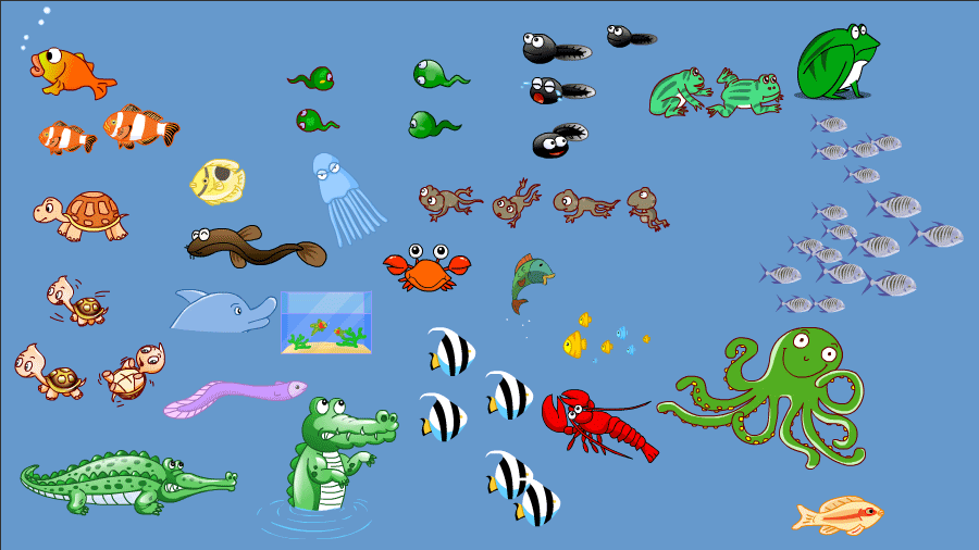 水生动物.gif